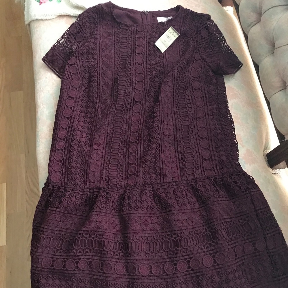 Loft dress NWT, smoke free home. Beautiful detail.